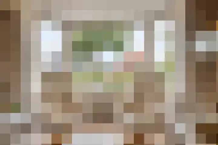 Terborgseweg 50 Silvolde thumbnail 13
