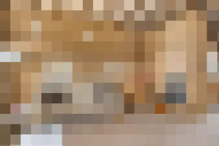 Terborgseweg 50 Silvolde thumbnail 15
