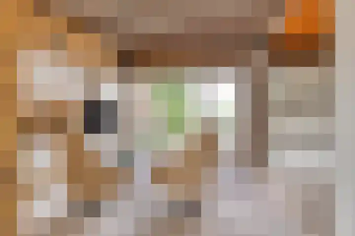 Terborgseweg 50 Silvolde thumbnail 17