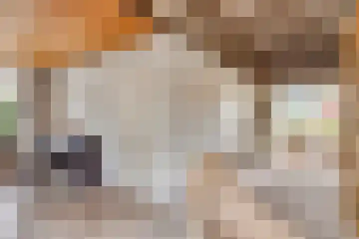 Terborgseweg 50 Silvolde thumbnail 19