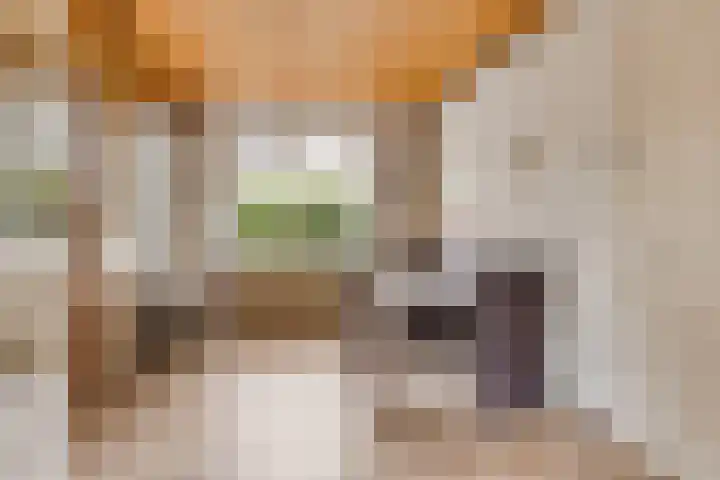 Terborgseweg 50 Silvolde thumbnail 20