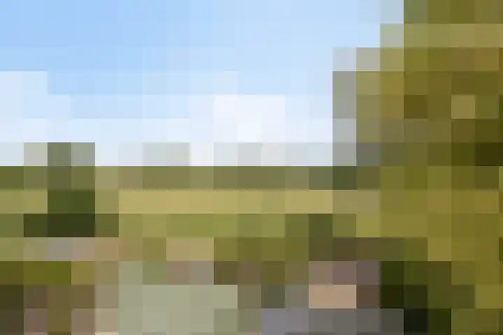 Terborgseweg 50 Silvolde thumbnail 45