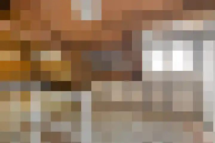 Terborgseweg 50 Silvolde thumbnail 46