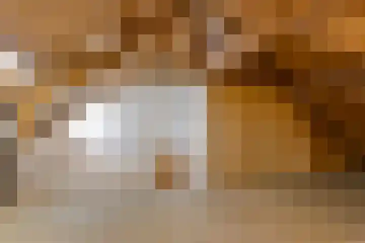 Terborgseweg 50 Silvolde thumbnail 47