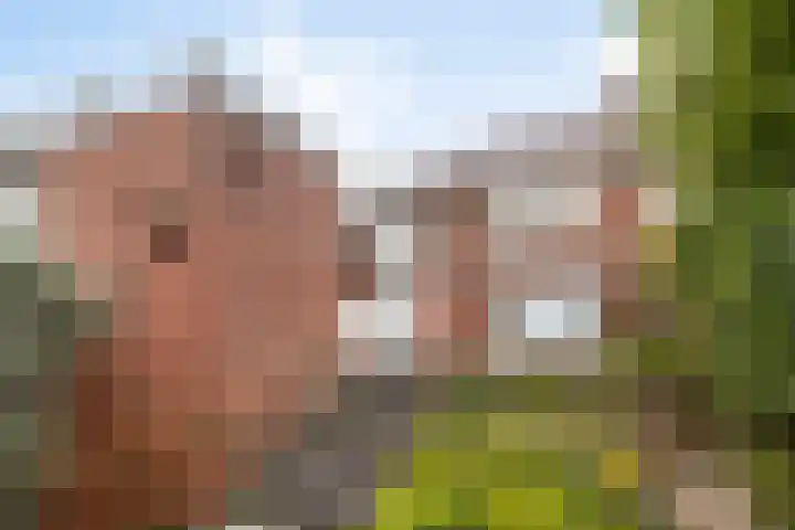 Terborgseweg 50 Silvolde thumbnail 51