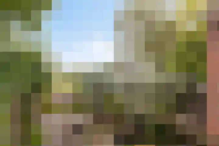 Terborgseweg 50 Silvolde thumbnail 52