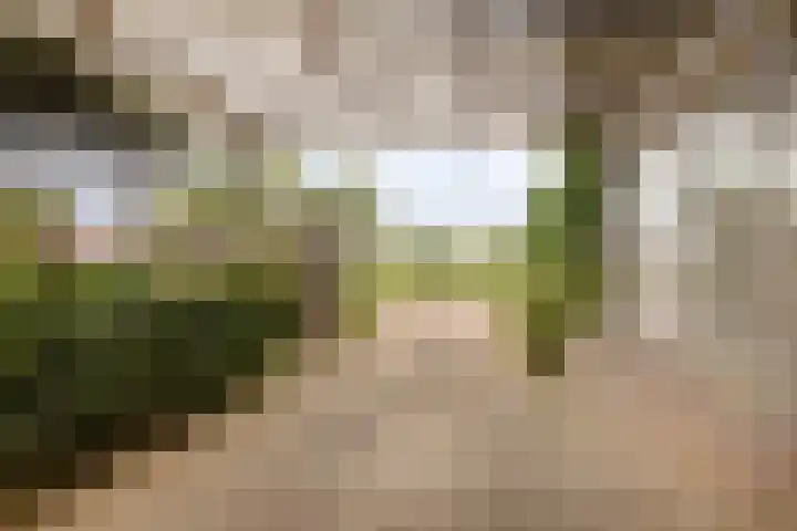 Terborgseweg 50 Silvolde thumbnail 53
