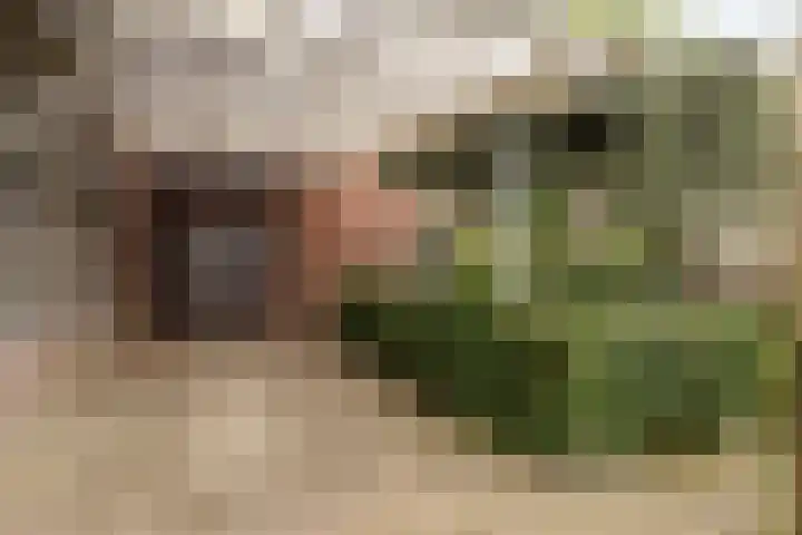 Terborgseweg 50 Silvolde thumbnail 54