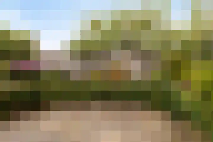 Terborgseweg 50 Silvolde thumbnail 55
