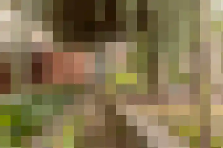 Terborgseweg 50 Silvolde thumbnail 56