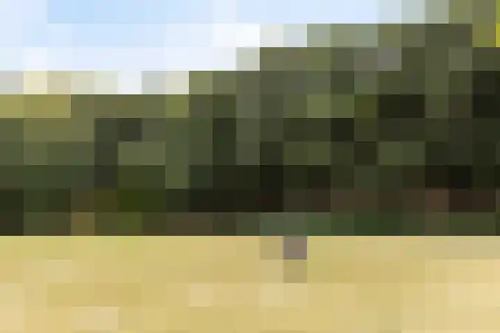 Terborgseweg 50 Silvolde thumbnail 58