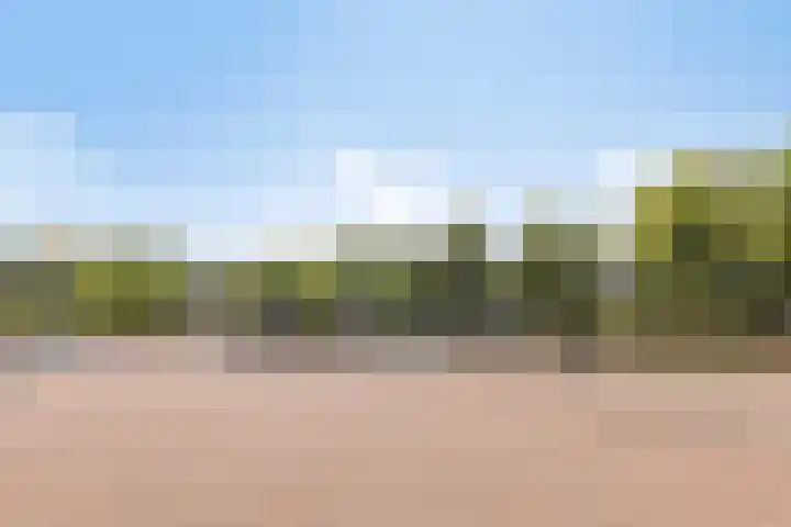 Terborgseweg 50 Silvolde thumbnail 59