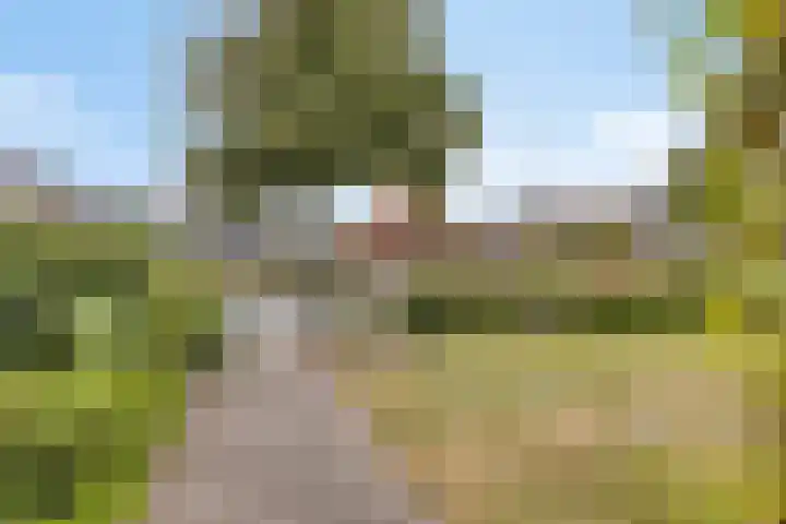 Terborgseweg 50 Silvolde thumbnail 6