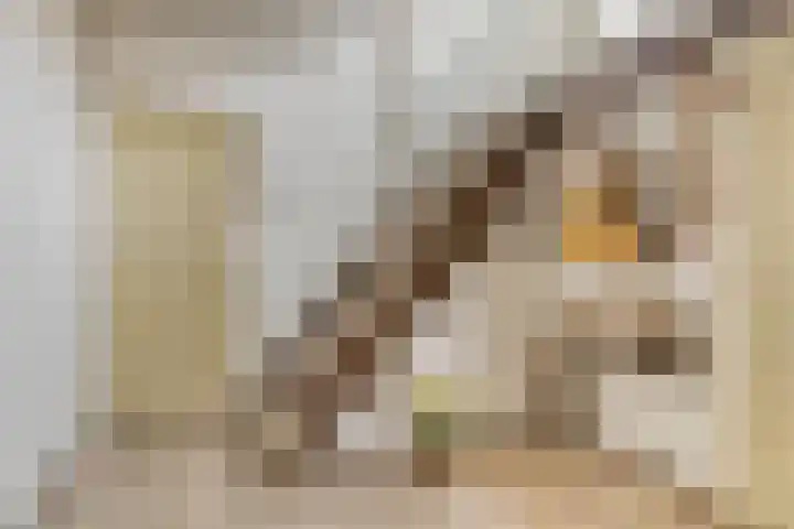 Terborgseweg 50 Silvolde thumbnail 9