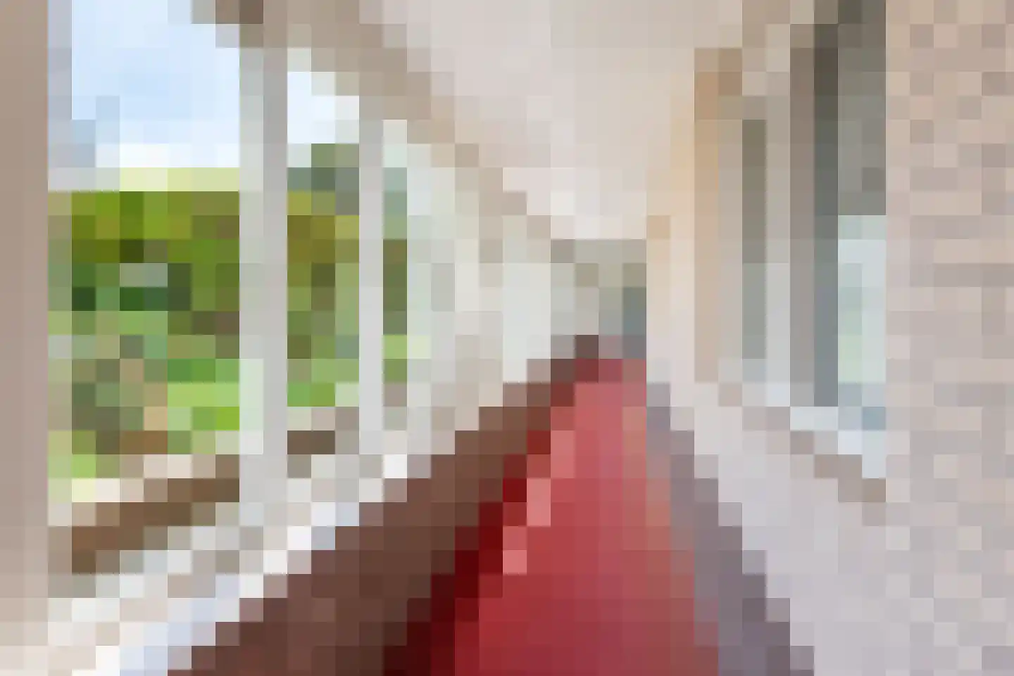 Terborgseweg 54 Dinxperlo thumbnail 10