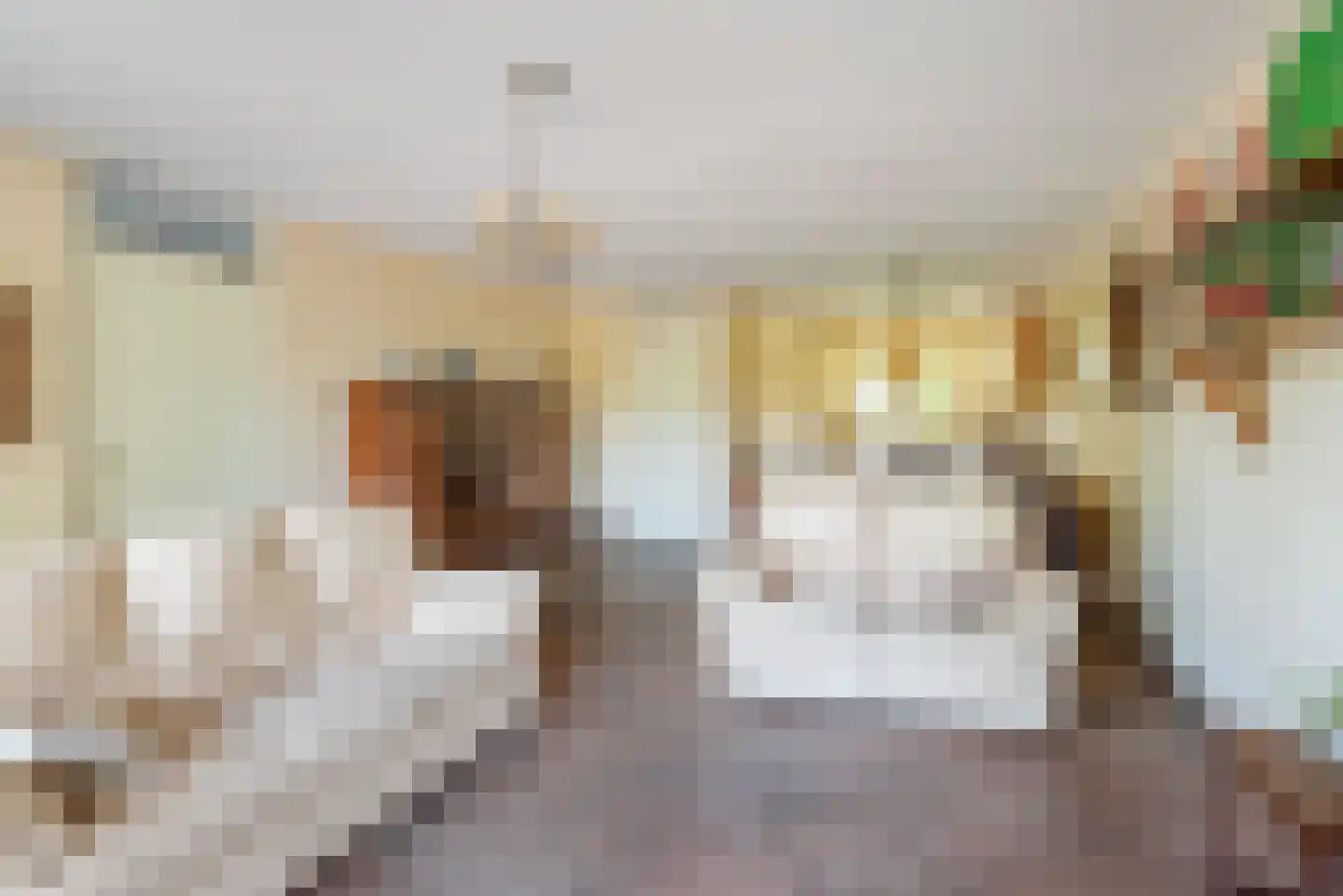 Terborgseweg 54 Dinxperlo thumbnail 17