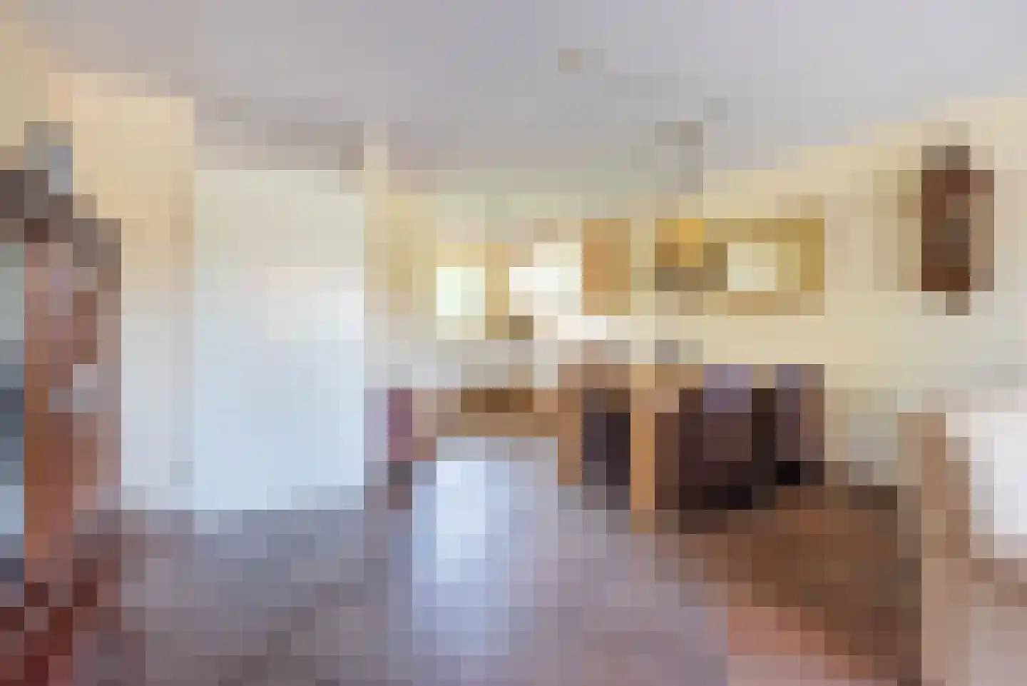 Terborgseweg 54 Dinxperlo thumbnail 19
