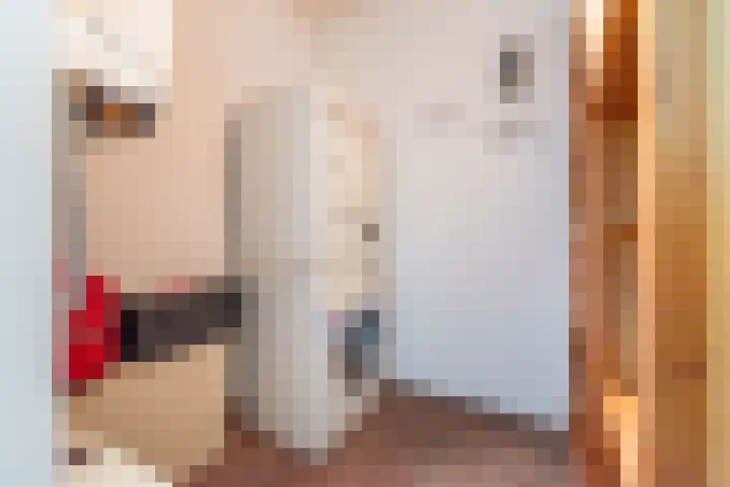 Terborgseweg 54 Dinxperlo thumbnail 31