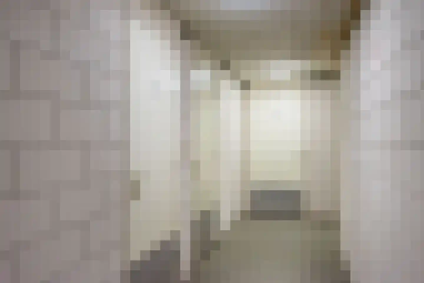 Terborgseweg 54 Dinxperlo thumbnail 34