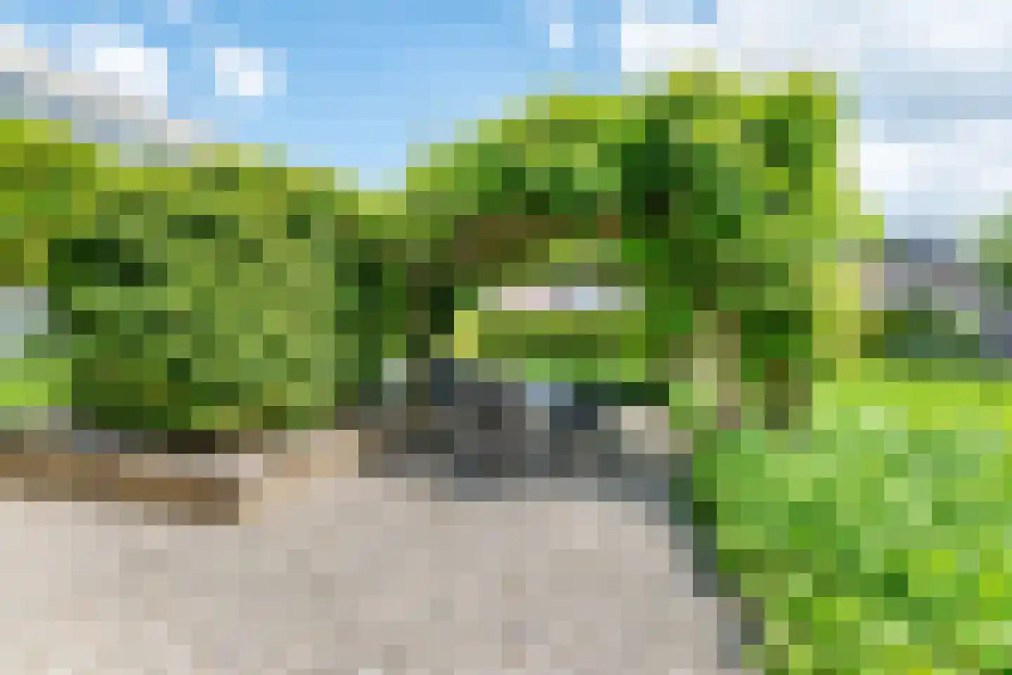 Terborgseweg 54 Dinxperlo thumbnail 36