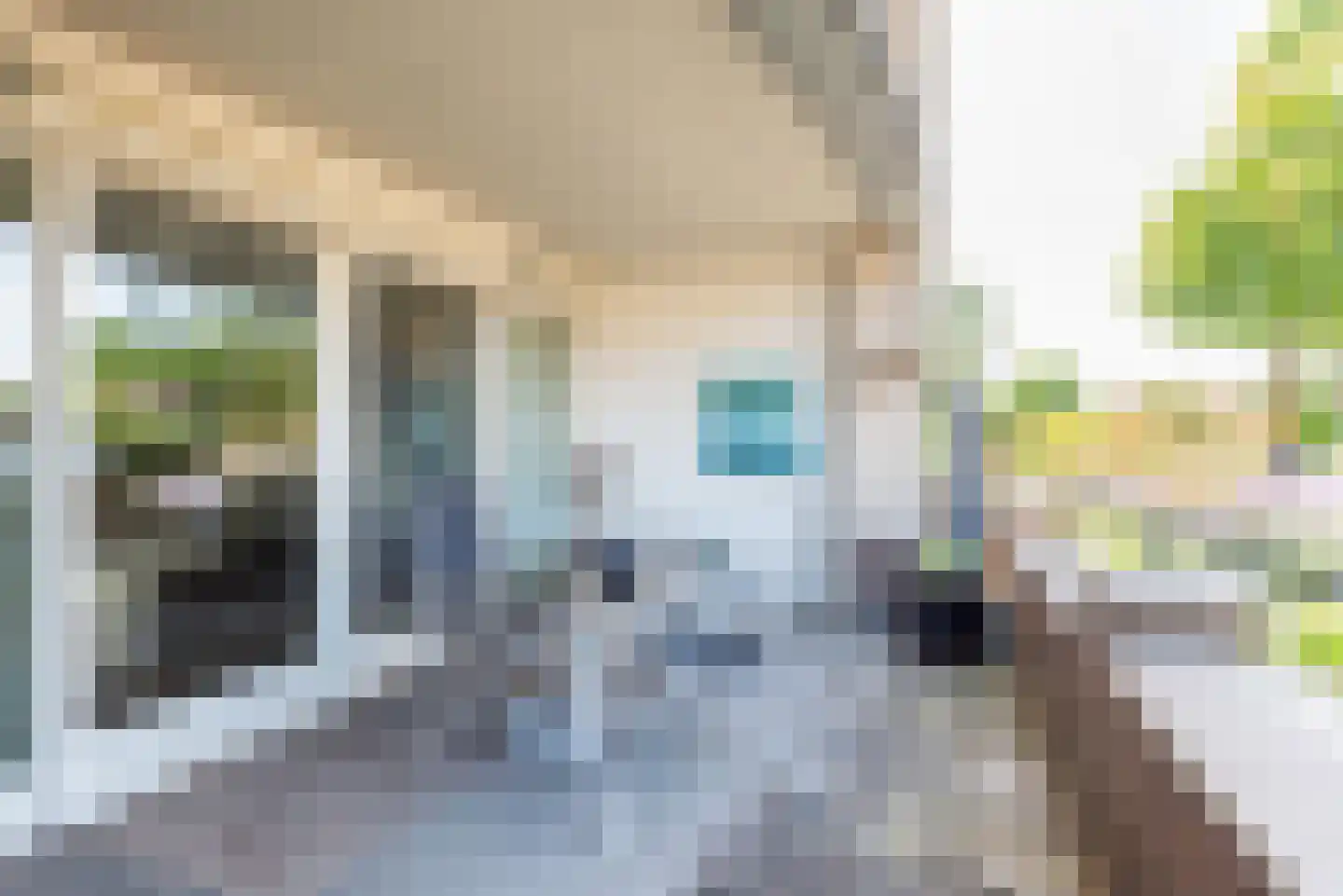 Terborgseweg 54 Dinxperlo thumbnail 4