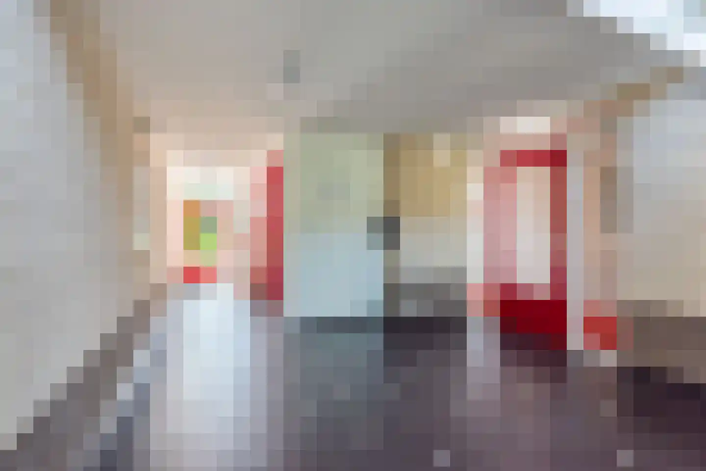Terborgseweg 54 Dinxperlo thumbnail 9