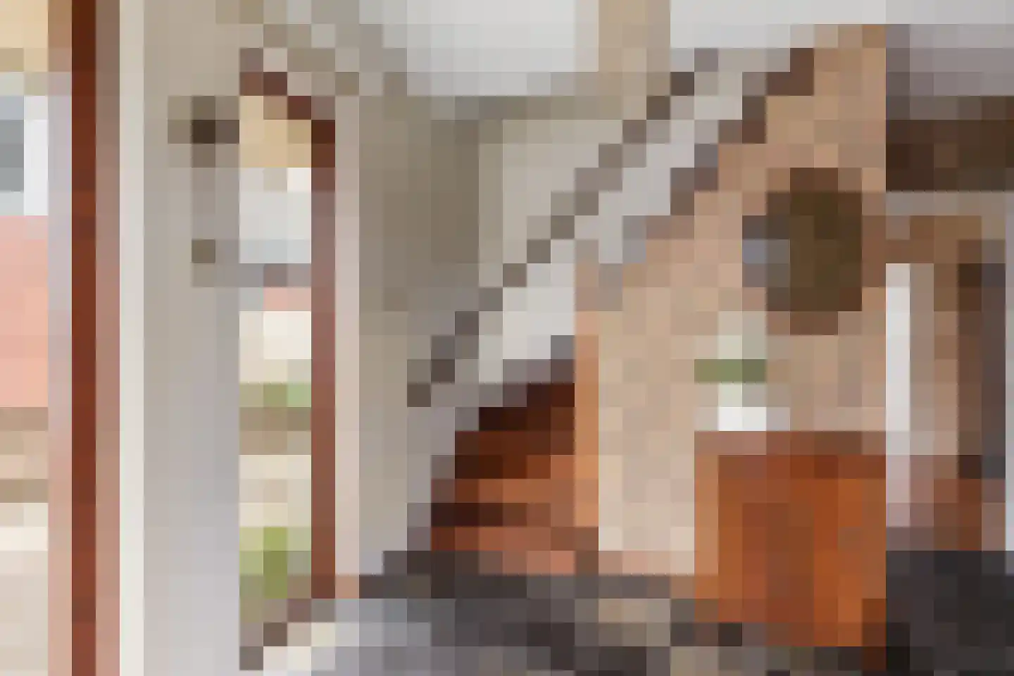Terborgseweg 55 Silvolde thumbnail 12