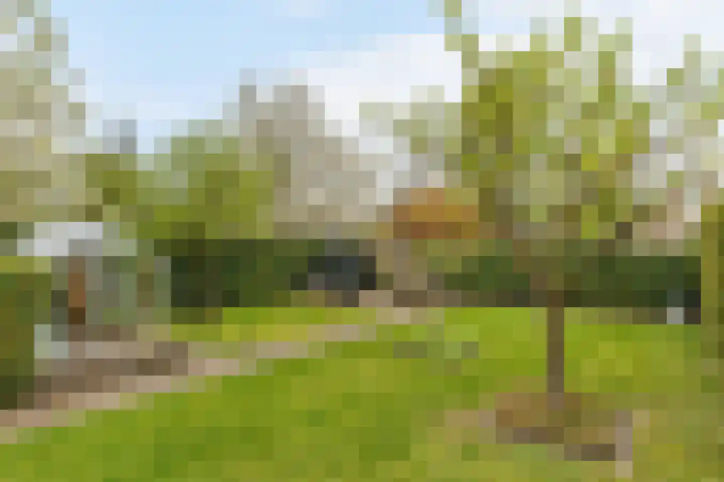 Terborgseweg 55 Silvolde thumbnail 27