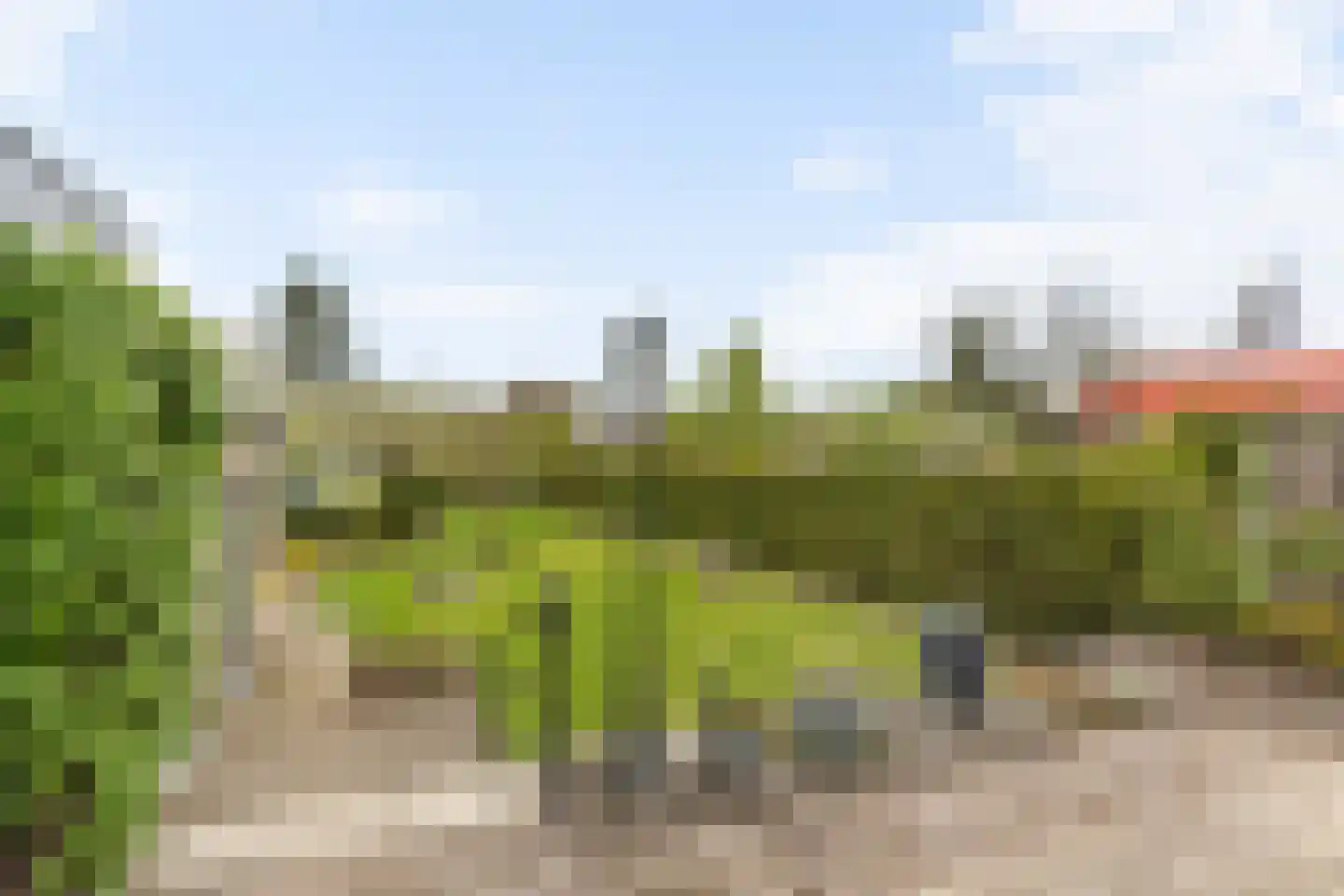 Terborgseweg 55 Silvolde thumbnail 4