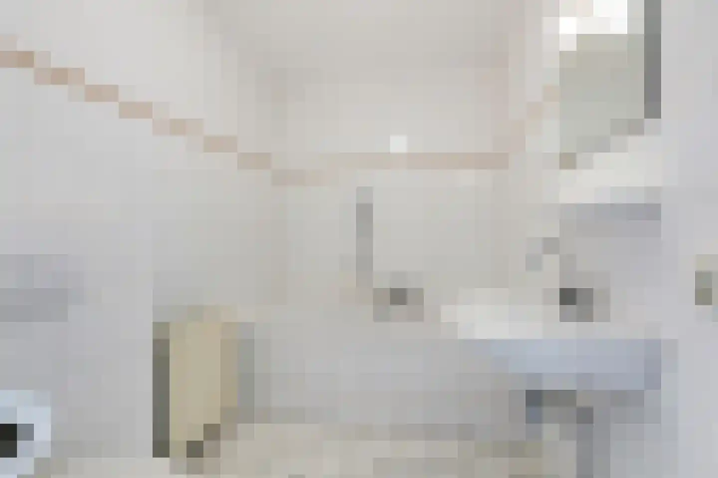 Terborgseweg 56 Dinxperlo thumbnail 33