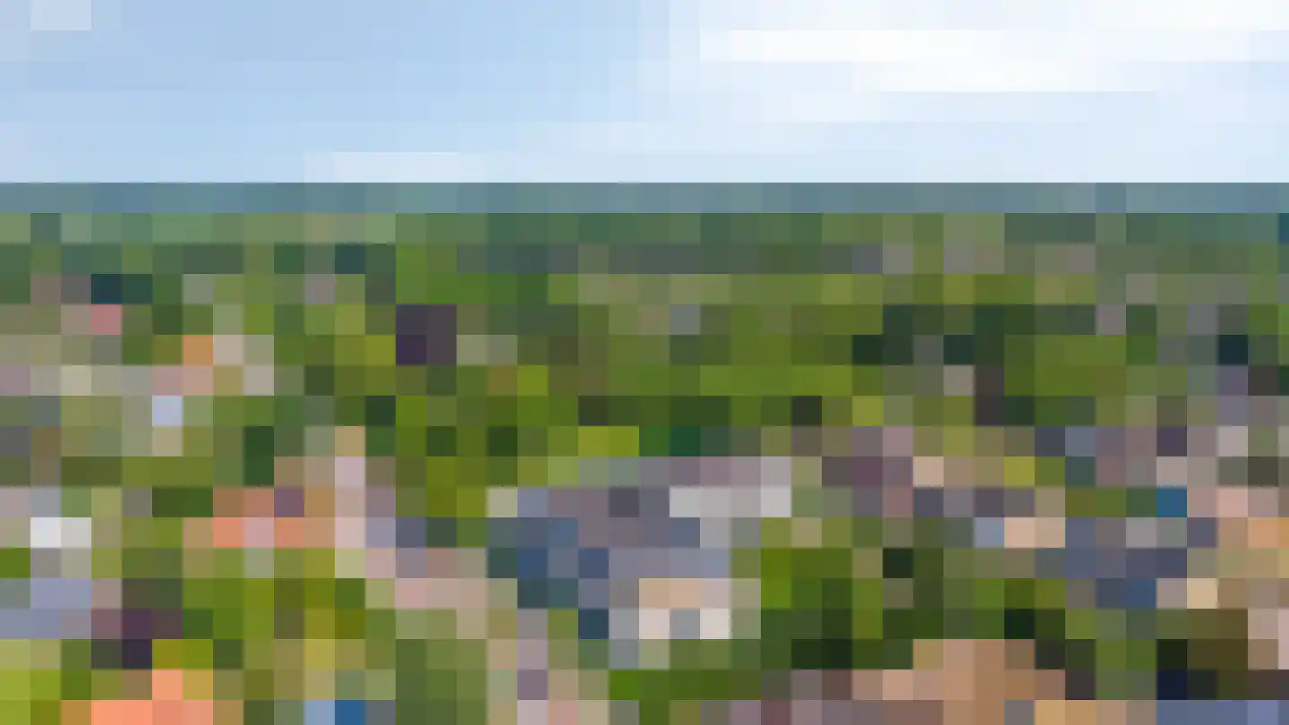 Terborgseweg 56 Dinxperlo thumbnail 4