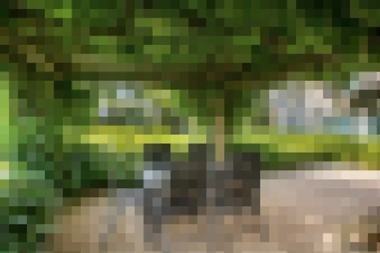 Terborgseweg 56 Dinxperlo thumbnail 49