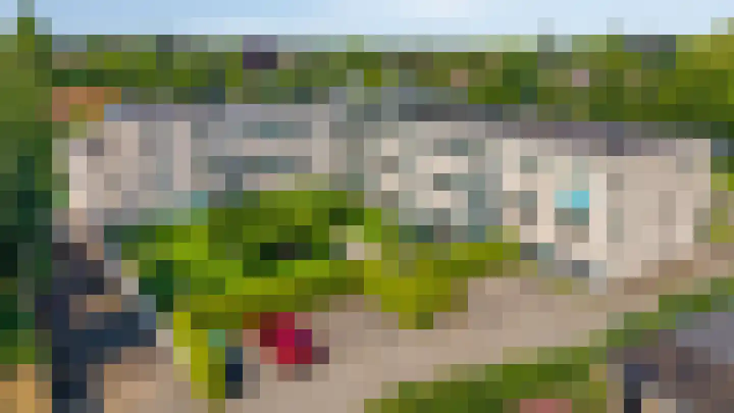Terborgseweg 56 Dinxperlo thumbnail 6