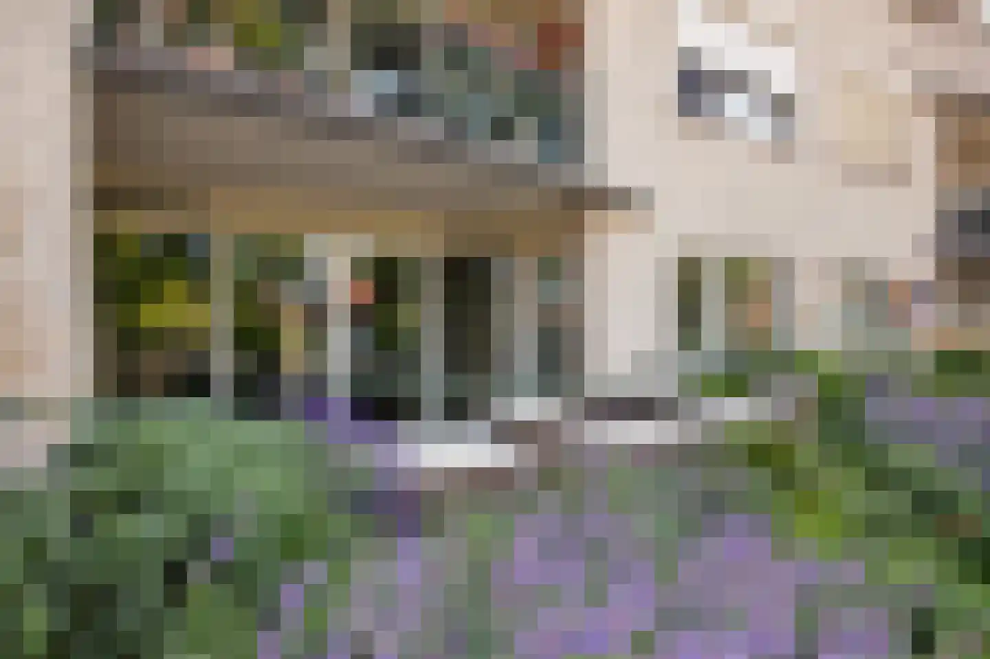 Terborgseweg 56 Dinxperlo thumbnail 7