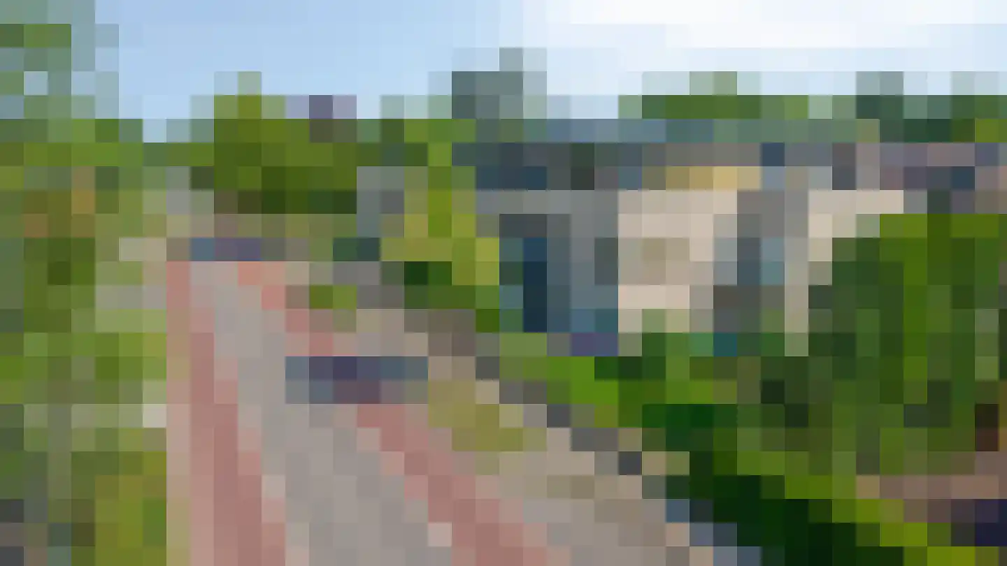 Terborgseweg 56 Dinxperlo thumbnail 8