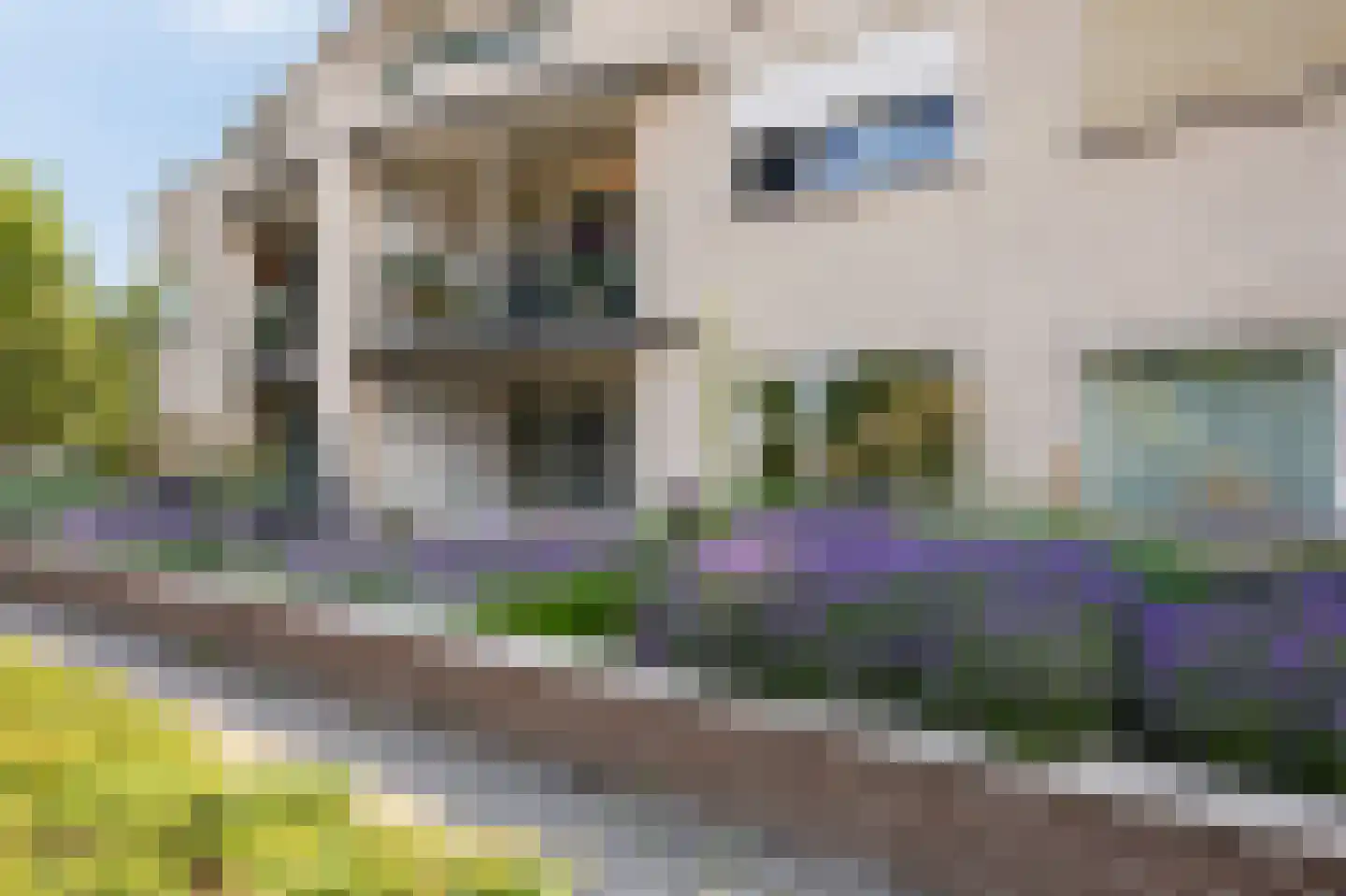 Terborgseweg 56 Dinxperlo thumbnail 9