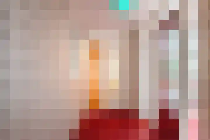 Terborgseweg 72 Dinxperlo thumbnail 10