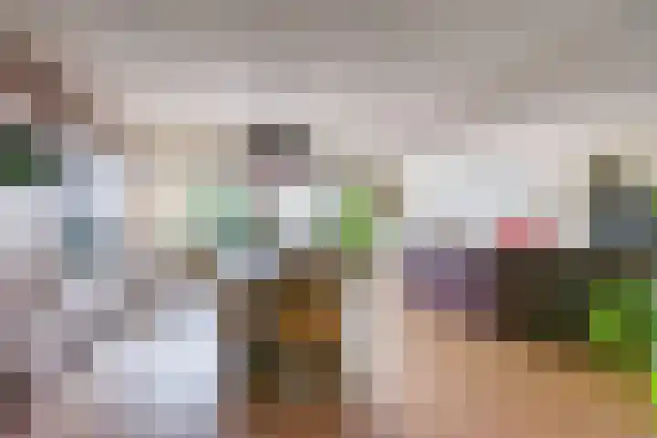 Terborgseweg 72 Dinxperlo thumbnail 14