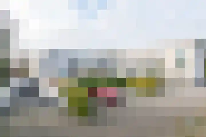 Terborgseweg 72 Dinxperlo thumbnail 33