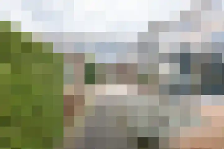 Terborgseweg 72 Dinxperlo thumbnail 37