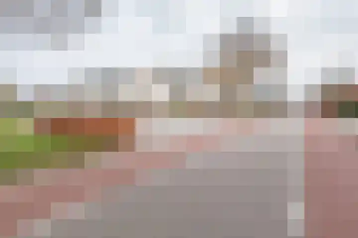 Terborgseweg 72 Dinxperlo thumbnail 41