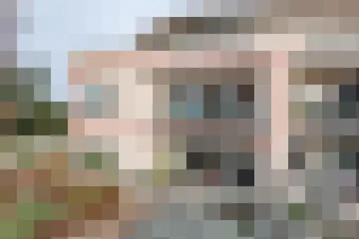 Terborgseweg 72 Dinxperlo thumbnail 43