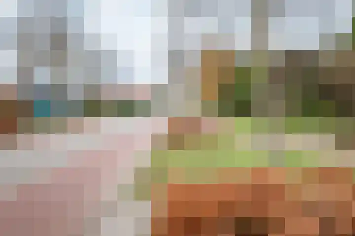 Terborgseweg 72 Dinxperlo thumbnail 44