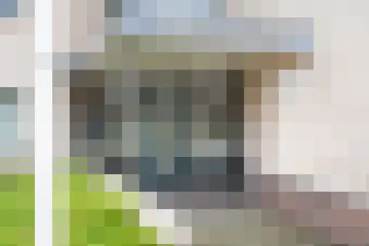 Terborgseweg 72 Dinxperlo thumbnail 6