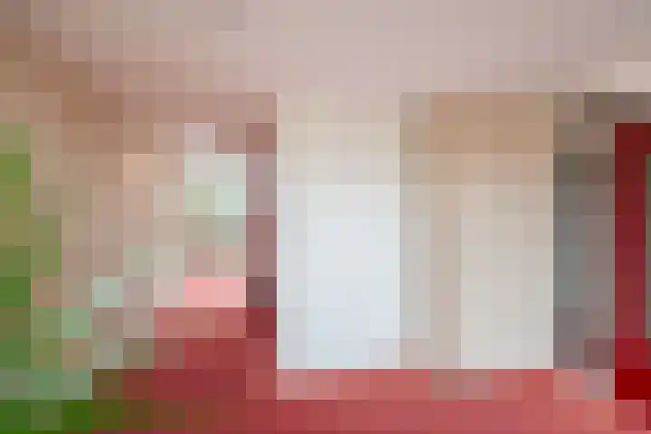 Terborgseweg 72 Dinxperlo thumbnail 9