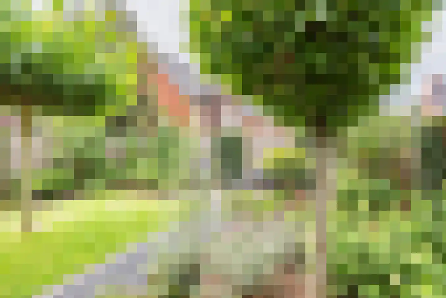 Terborgseweg 75 A Silvolde thumbnail 40