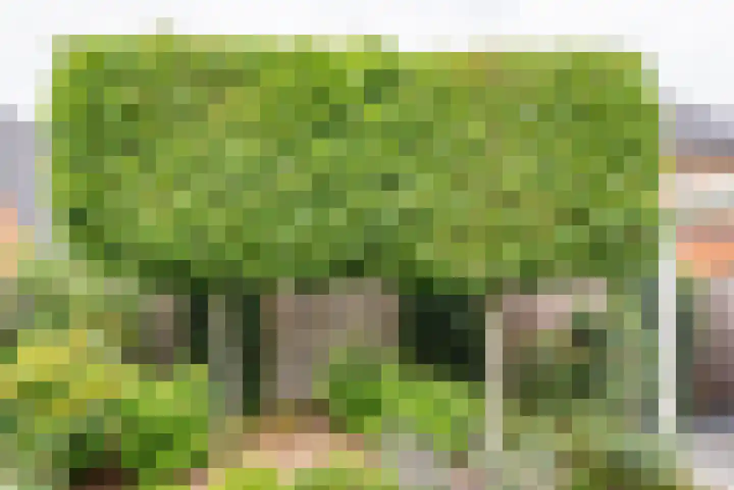 Terborgseweg 75 A Silvolde thumbnail 43