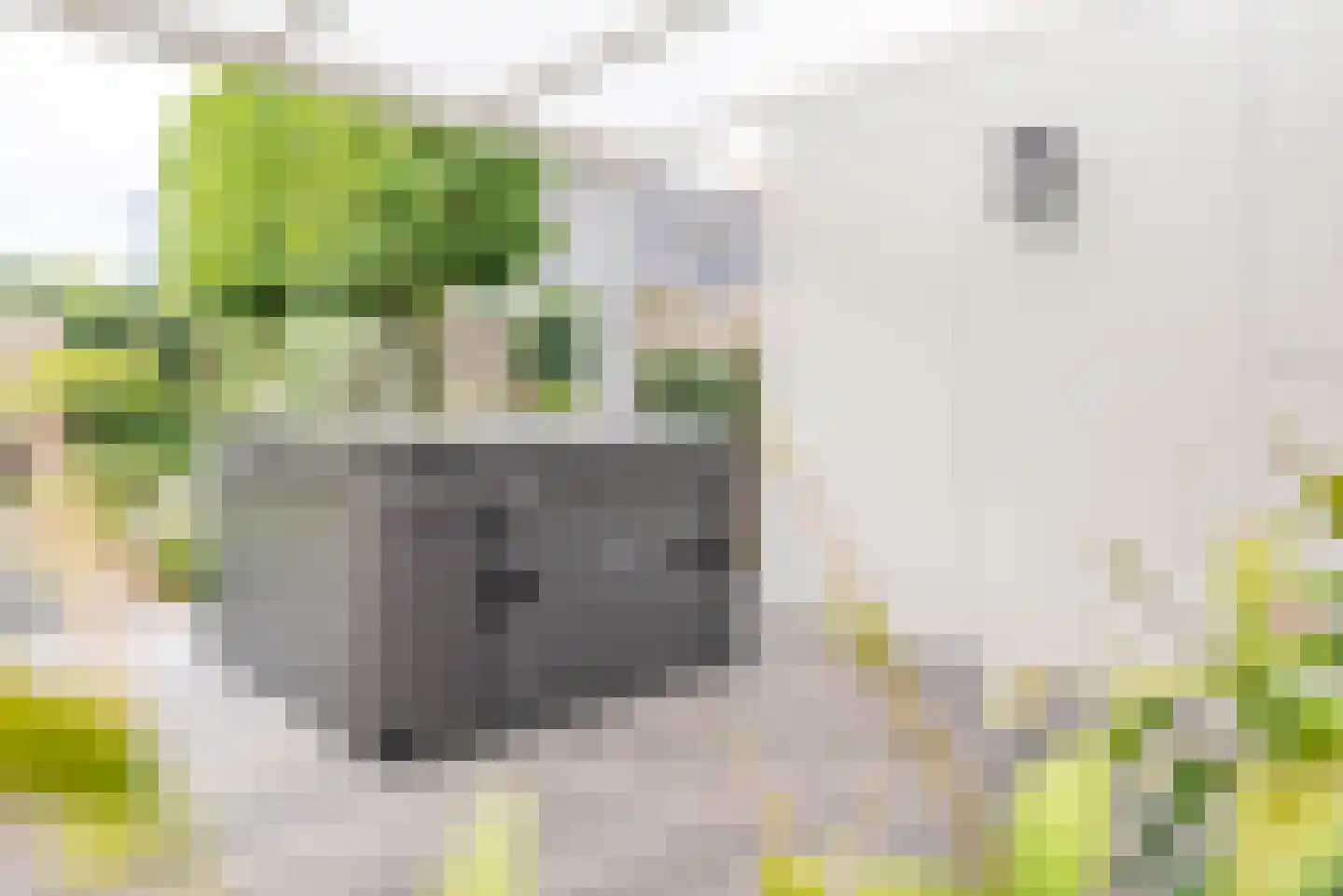 Terborgseweg 75 A Silvolde thumbnail 46