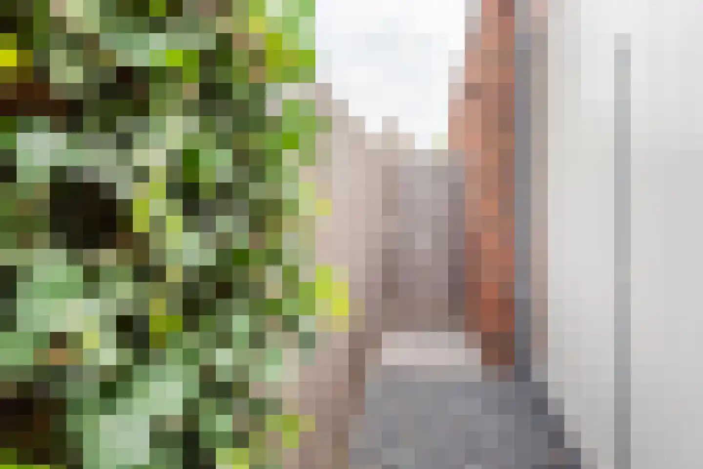 Terborgseweg 75 A Silvolde thumbnail 48