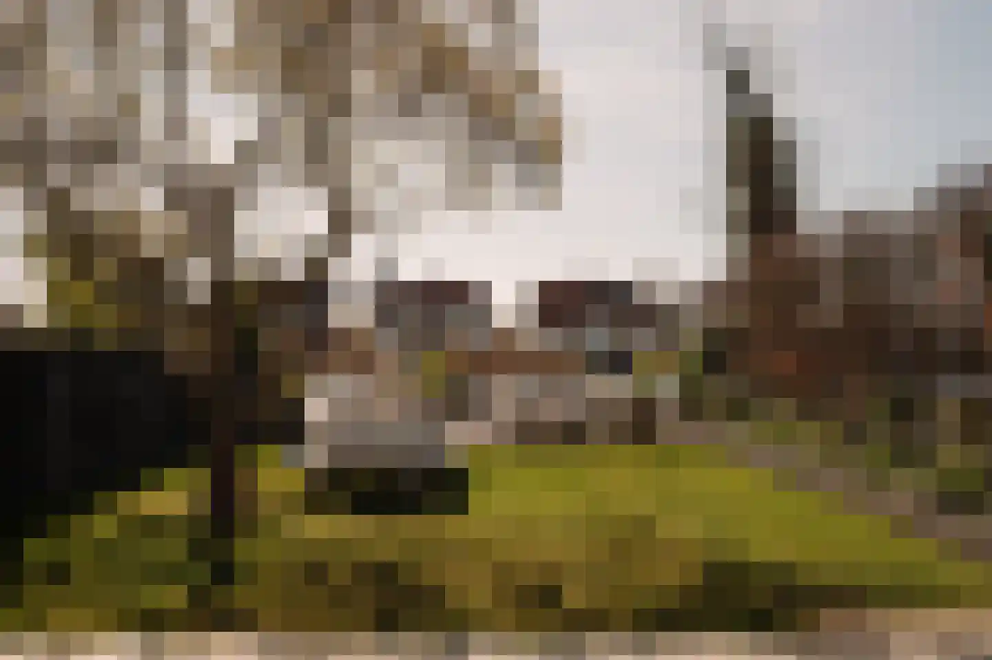 Terbregse Rechter Rottekade 117 Rotterdam thumbnail 25
